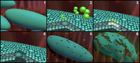 Description: killingmicrobes
