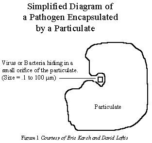 Description: patogen in hefazat