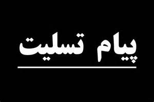 پیام تسلیت انجمن به سبب درگذشت مادر گرامی جناب آقای دکتر رضا ابرقویی